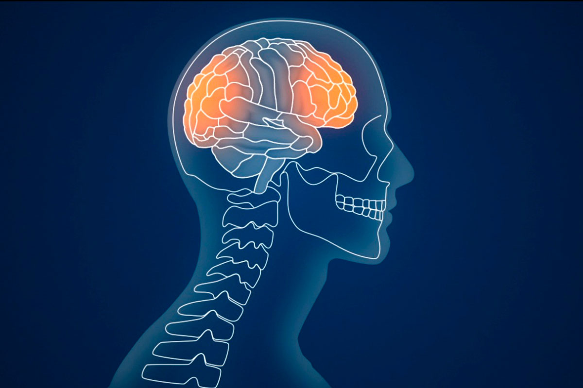 Concussion What Is It? How To Diagnose And Treat It? Immunology