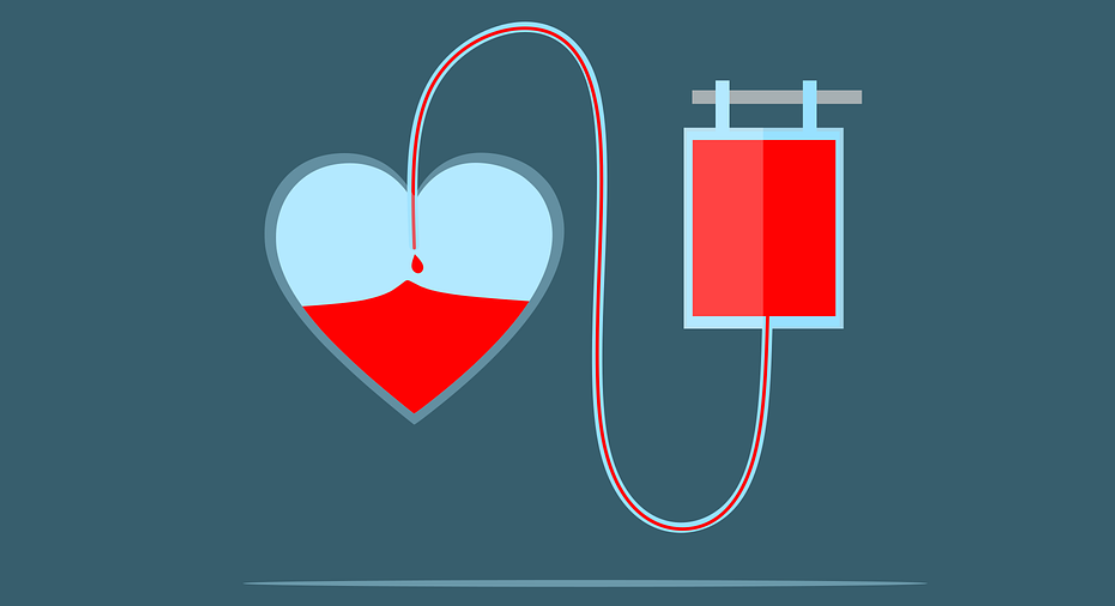 Top 10 Best Blood Banks In Hyderabad HospitalClinic Mediniz Health